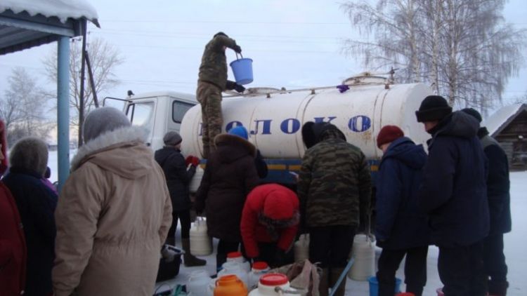 Прием молока. Прием молока у населения. Сбор молока у населения. Пункт сбора молока. Сборщик молока у населения.